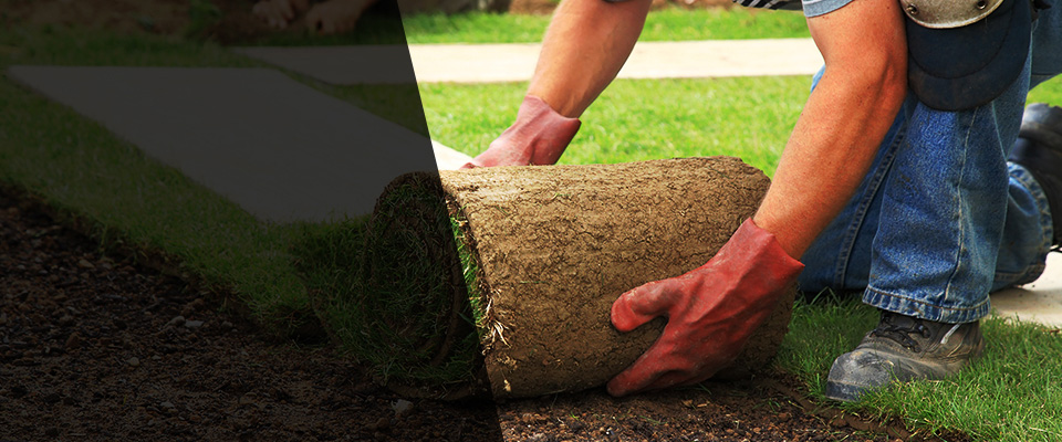 West Deptford Landscapers